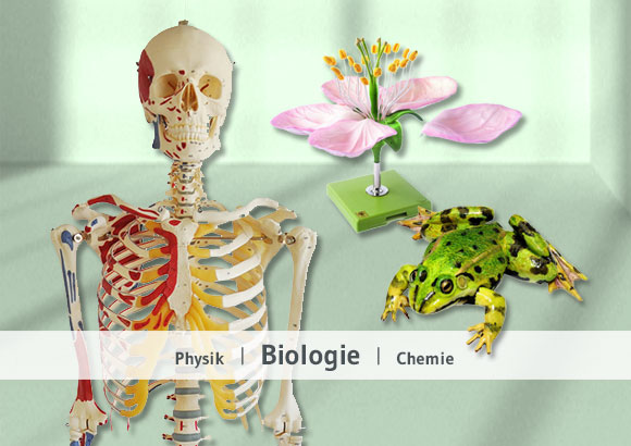 Biologie